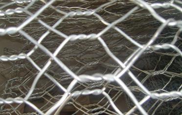 pvc石籠網(wǎng) pvc石籠網(wǎng)